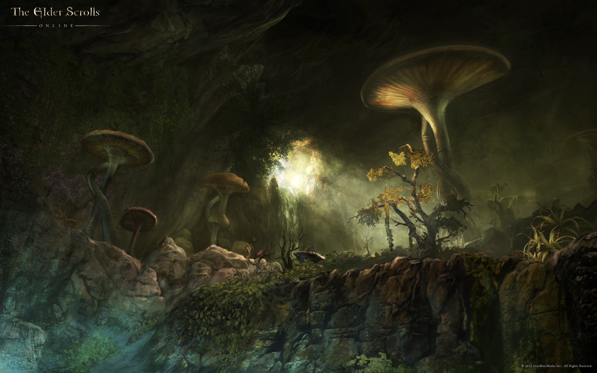 Wallpaper The Elder Scrolls Online: Fungal Grotto
