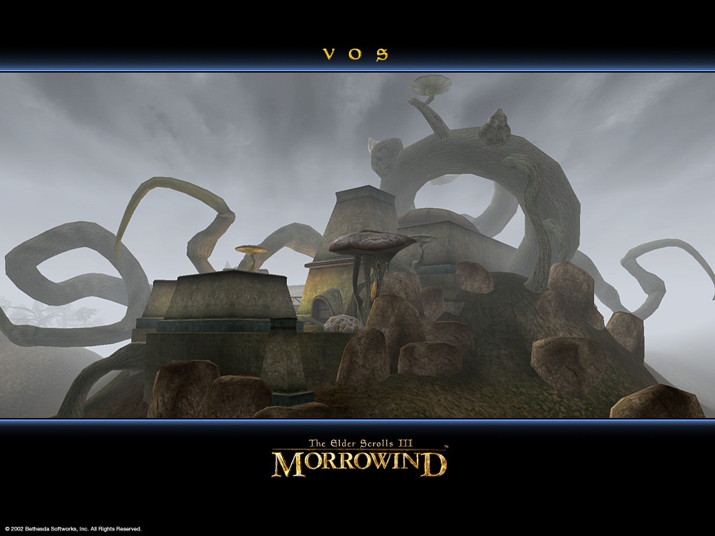 Wallpaper The Elder Scrolls III: Morrowind "Vos"