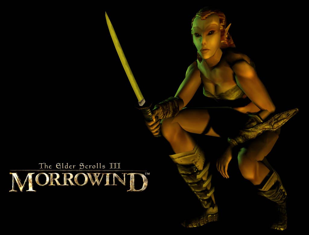 Wallpaper The Elder Scrolls III: Morrowind "Elf"