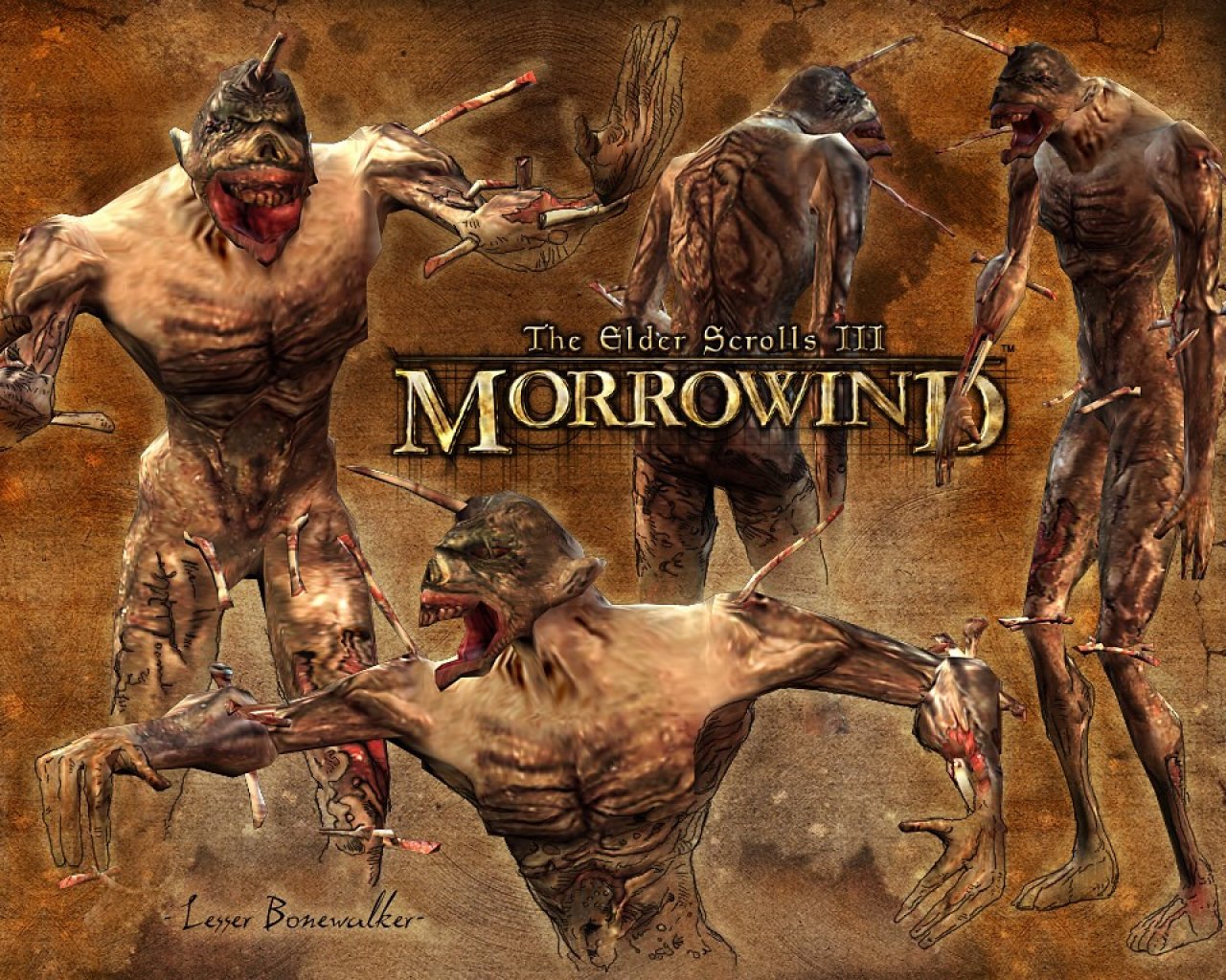 Wallpaper The Elder Scrolls III: Morrowind "Lesser bonewalker"