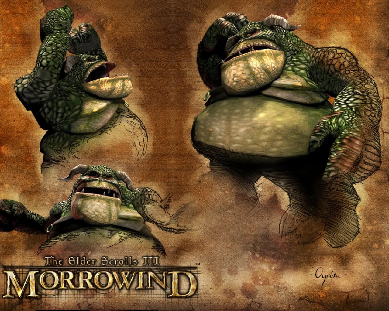 Wallpaper The Elder Scrolls III: Morrowind "Ogrim"