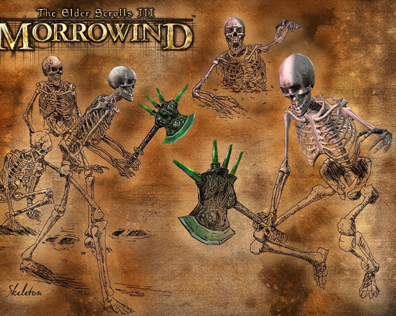 Wallpaper The Elder Scrolls III: Morrowind "Skeleton"
