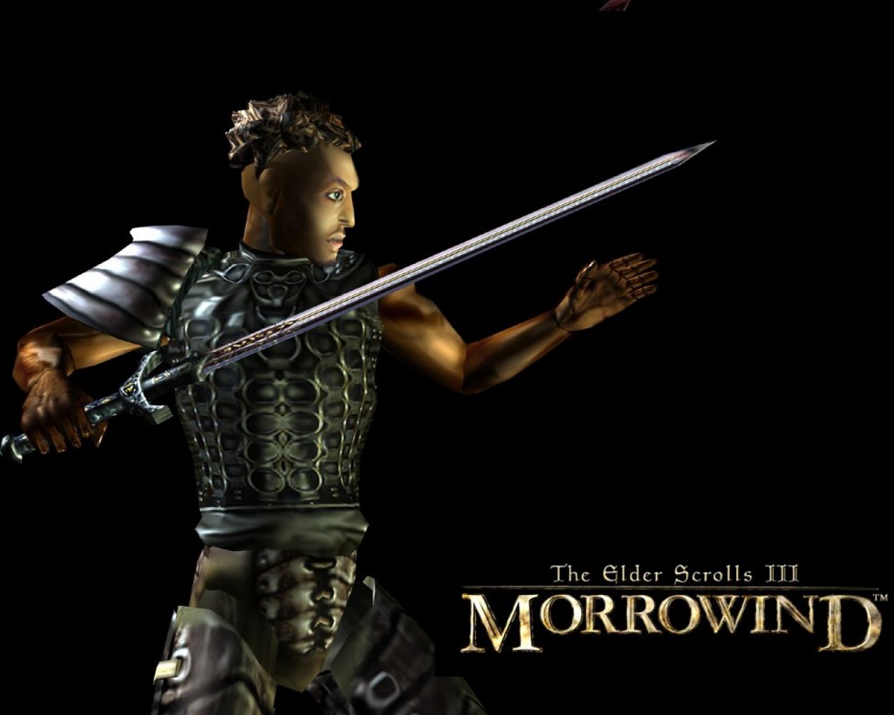 Wallpaper The Elder Scrolls III: Morrowind "Swordsman"