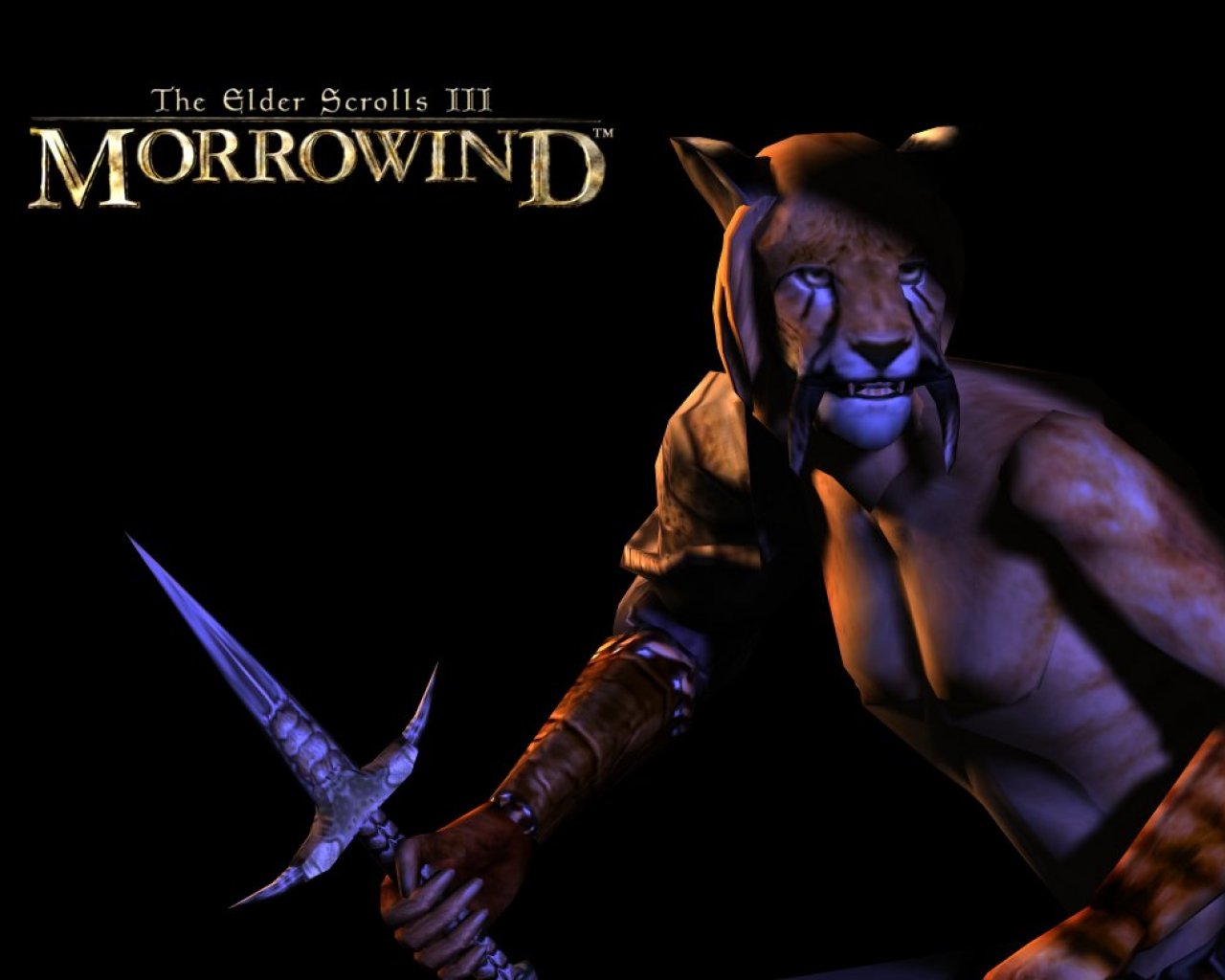 Wallpaper The Elder Scrolls III: Morrowind "Khajiit"