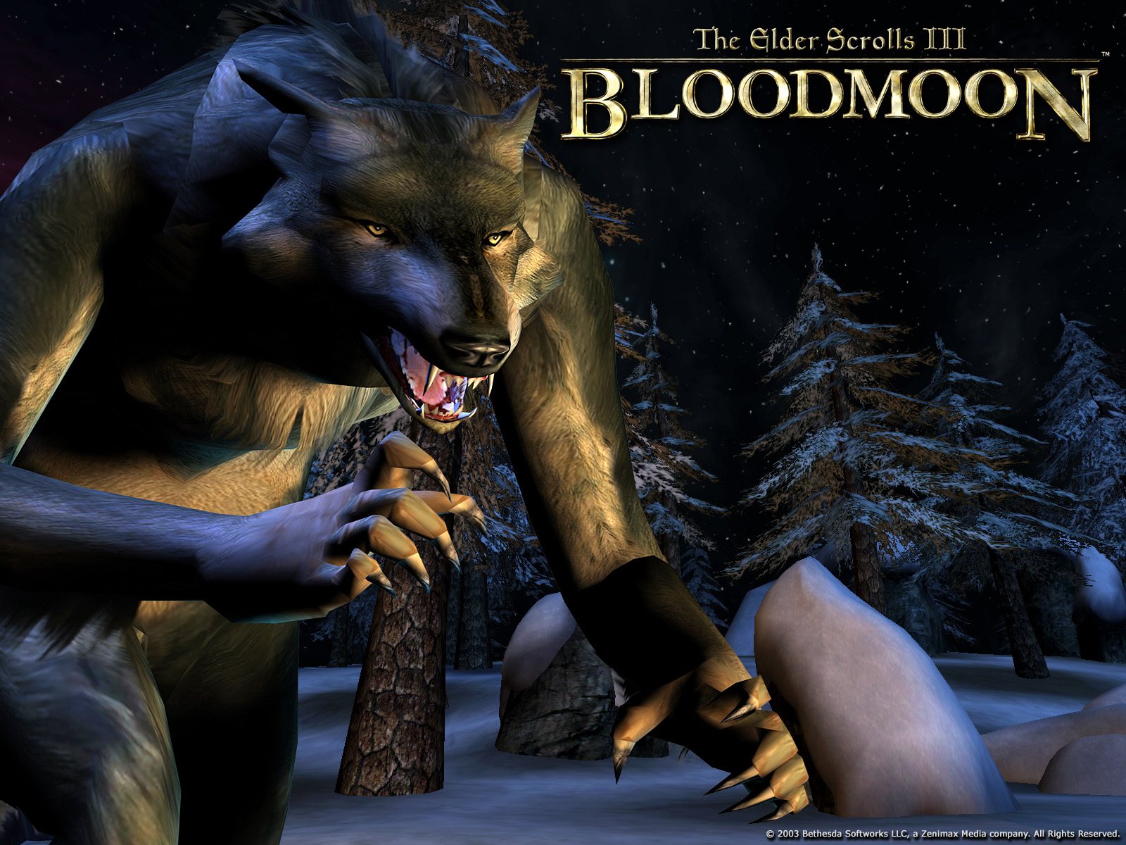 Wallpaper The Elder Scrolls III: Bloodmoon "Werewolf"