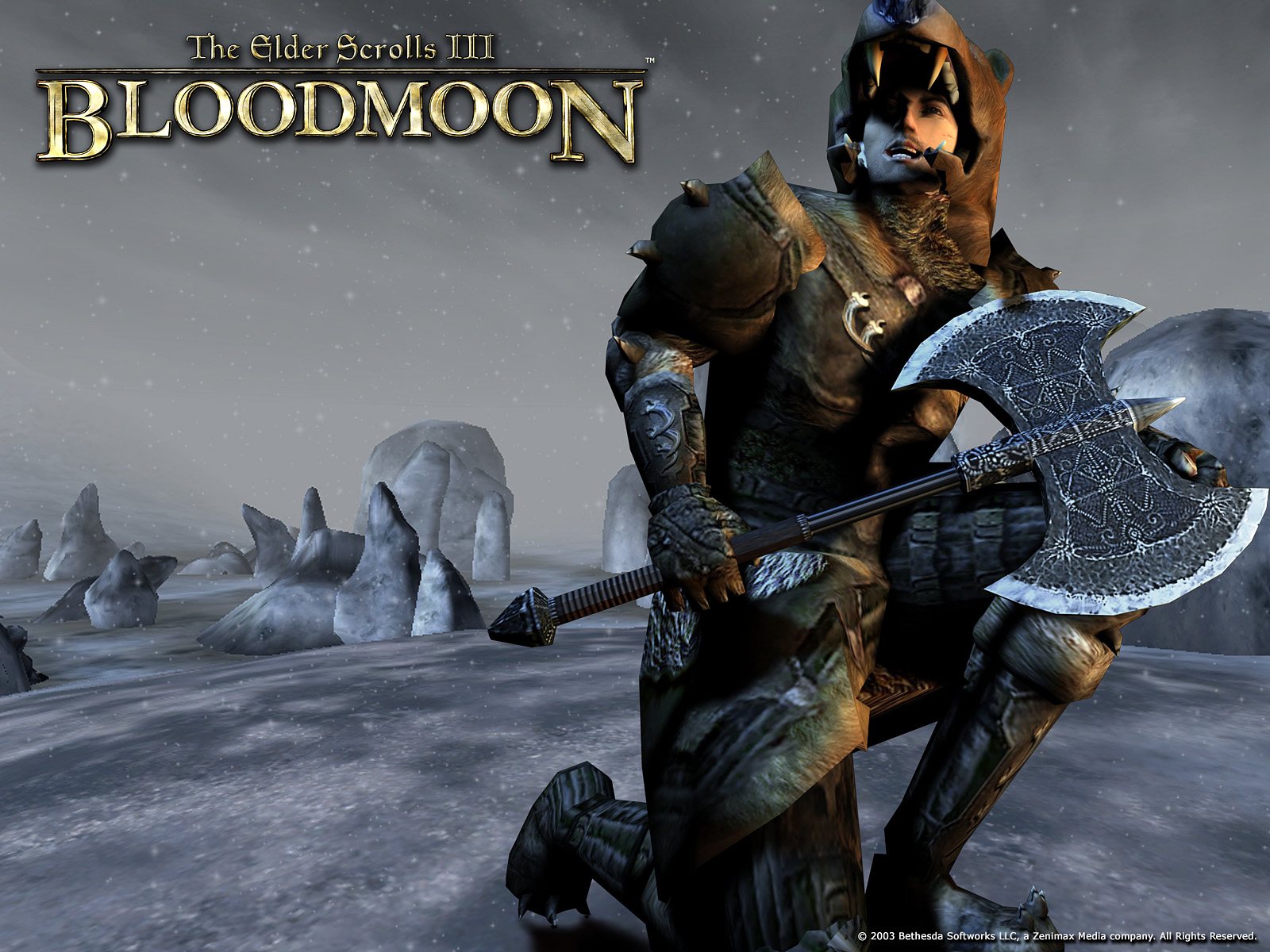 Wallpaper The Elder Scrolls III: Bloodmoon