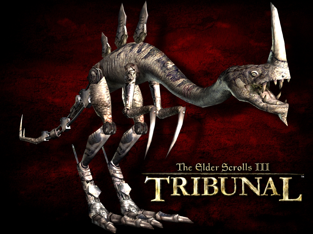 Wallpaper The Elder Scrolls III: Tribunal "Enemy"