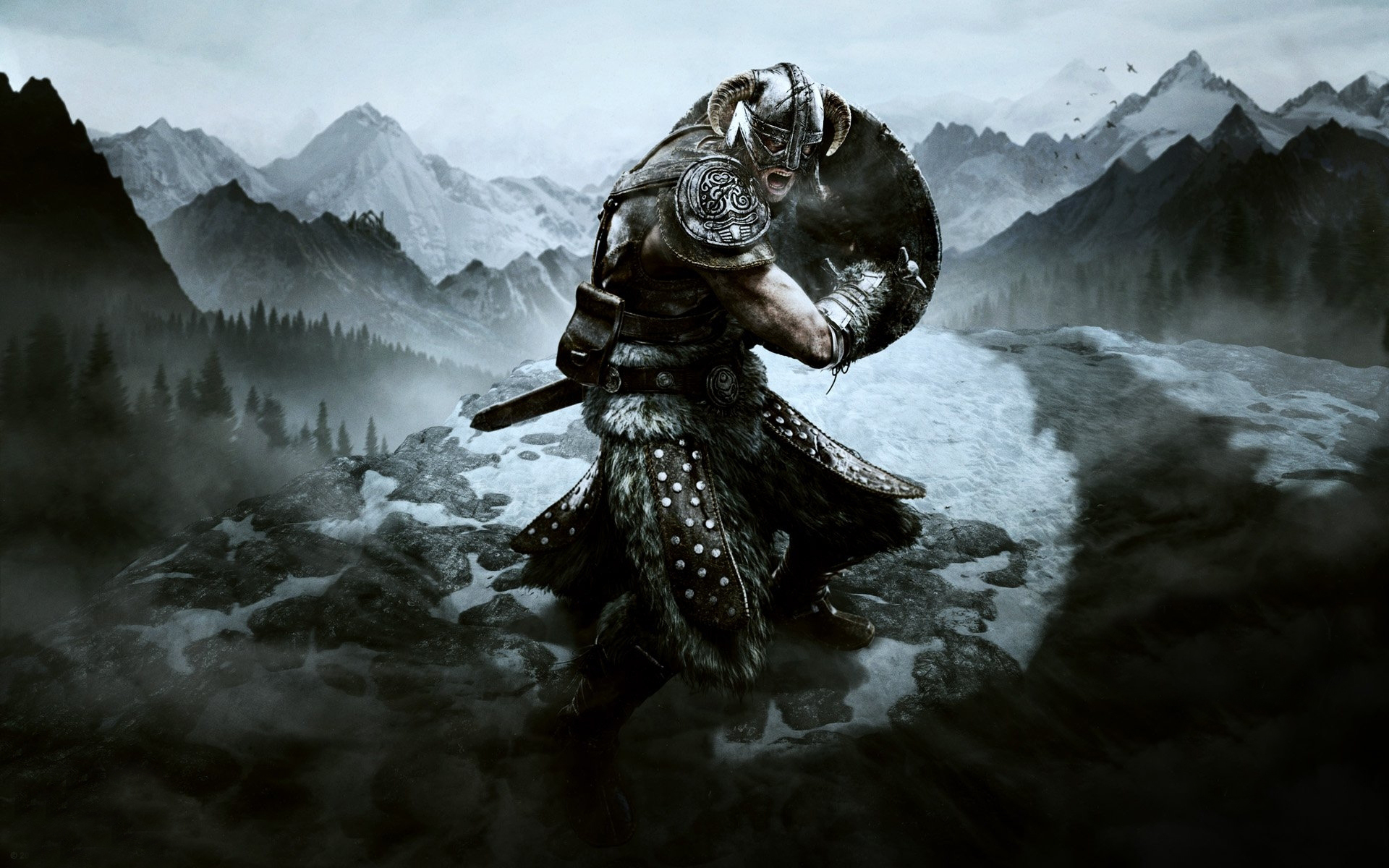 The Elder Scrolls V: Skyrim wallpaper Warrior with shield